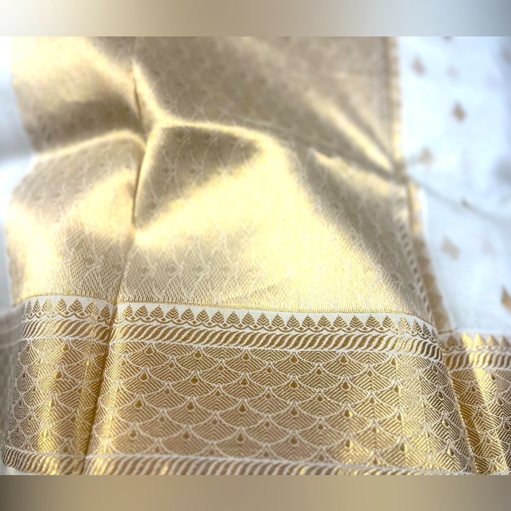 A stunning pure silk organza saree , all handcrafted,with exquisitely woven zari